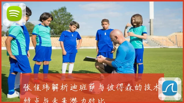 张佳玮解析迪班萨与彼得森的技术特点与未来潜力对比