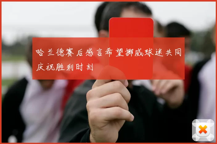 哈兰德赛后感言希望挪威球迷共同庆祝胜利时刻